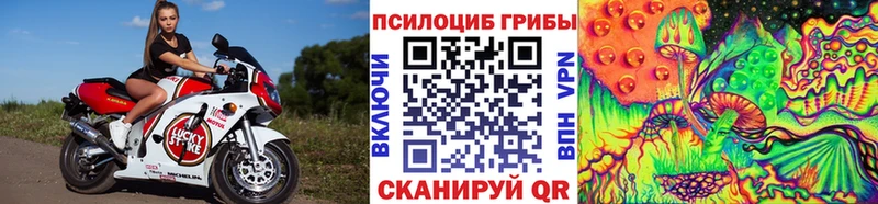 Псилоцибиновые грибы мицелий  Югорск 